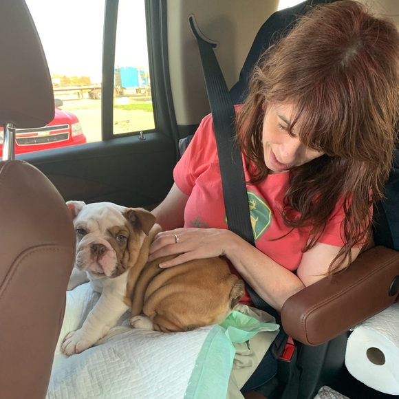 Our Baby Girl Miss Bella B - Picture 1 of 16